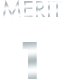 MERIT1